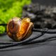 Wisiorek "Bursztynowy ślimak" –żywioł ognia i bursztynowego światła,octowiec, pirografia, prezent; Amber and Wood Pendant, biżuteria
