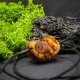 Wisiorek "Bursztynowy ślimak" –żywioł ognia i bursztynowego światła,octowiec, pirografia, prezent; Amber and Wood Pendant, biżuteria