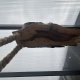 Lampa wiszaca