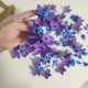 Spinki Mavka Leśna Piosenka, kostium Mavka, opaska Mavka Leśna Piosenka