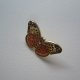 PIN PRZYPINKA BROSZKA MOTYLEK