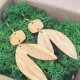 Kolczyki LIŚCIE organiczny kształt stal chirurgiczna w pudełeczku