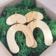 Kolczyki NATURA organiczny kształt stal chirurgiczna w pudełeczku