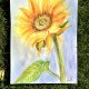 Kwiat Słońca akwarela 42/30 cm, A3