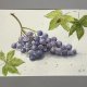 Winogrona i biedronka  Original Akwarela A4