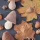 Zestaw trzech szydełkowych grzybków – brązowa jesień w wersji handmade (3)