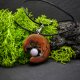 Wisiorek - Wiśnia i agat – biżuteria z duszą ziemi, pirografia, handmade, prezent Unique Jewelry Design; Luxury Wooden Jewellery