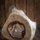 Lampa z orzecha włoskiego – unikat handmade