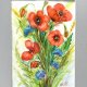 Maki i chabry Original Akwarela A4