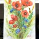 Maki i chabry Original Akwarela A4