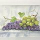 Winogrona i biedronka  Original Akwarela A4