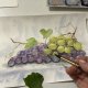 Winogrona i biedronka  Original Akwarela A4