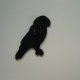 PIN PRZYPINKA BROSZKA PAPUGA