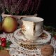 Angielska porcelana Rosina Queens filiżanka i spodek jesienny wzór jeżyny i brzoskwinie