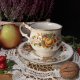 Angielska porcelana Rosina Queens filiżanka i spodek jesienny wzór jeżyny i brzoskwinie