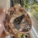 Ręcznie wykonana ceramiczna taca na biżuterię w kształcie leniwego kotka – uroczy i praktyczny stojak na biżuterię