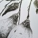 Remon - cytryna A4