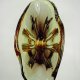 Wazon Murano, Molinari Design