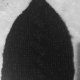 black z dziubkiem moher cotton
