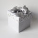 25 rocznica ślubu, srebrne gody, exploding box, kartka 3d