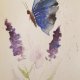 Motyl i kwiatki   - akwarela
