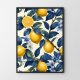 Plakat botaniczny cytryny - format  30x40 cm