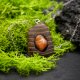 Wisiorek z karneolem "Akacja i karneol" –  ręcznie rzeźbiony, biżuteria z drewna, z duszą natury; pirografia, Wood Pendant