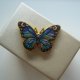 PIN PRZYPINKA BROSZKA MOTYLEK