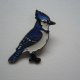 PIN PRZYPINKA BROSZKA PTAK