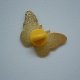PIN PRZYPINKA BROSZKA MOTYL