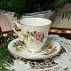 Windsor (CWS) bone china filiżanka i spodek wzór margaretki