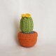 Mała dekoracja handmade – szydełkowy kaktus w doniczce