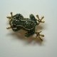BROSZKA ZAWIESZKA ŻABKA