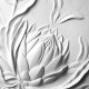 Protea - Gipsowa Płaskorzeźba. Biały Obraz Strukturalny