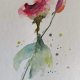 Róże  -  akwarela