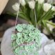 Szydełkowy kwiat wiszący – Zielony akcent w stylu BOHO rozmiar L