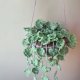 Szydełkowy kwiat wiszący – Zielony akcent w stylu BOHO rozmiar L