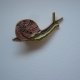 PIN PRZYPINKA BROSZKA ŚLIMAK