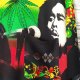 Koszula Bob Marley (Vk)