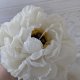 Świeca dekoracyjna Piwonia z wosku pszczelego