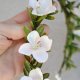 Kwiat Jabłoni – wianek komunijny i ślubny, biały wianek na komunię, romantyczny wianek boho
