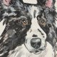 GRAFIKA / OBRAZ  - PIES BORDER COLLIE - A3