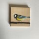 obraz ptaszek ręcznie malowany