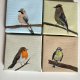 4 obrazki ptaszki