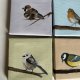 4 obrazki ptaszki