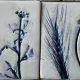 Zestaw kafli ceramicznych "Z Delft"