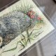 J. & J. Cash Ltd., Coventry, Anglia. - Haft na jedwabiu 23,5cm. ❀ڿڰۣ❀ Sygnowana duża miniatura