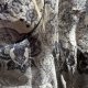 Nietoperz mgiełka made in Italy SILK i viskoza elegancki granat