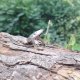Kolorowa kropla - pierścionek regulowany