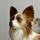 Rarytas! ❤ Vintage Coopercraft ❤ Papillon Dog - Spaniel
